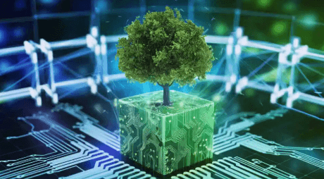 Sustainable Blockchain Solutions